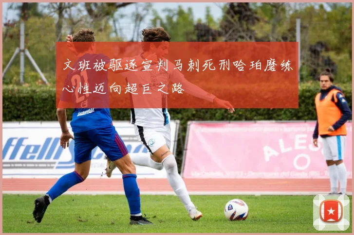 文班被驱逐宣判马刺死刑哈珀磨练心性迈向超巨之路