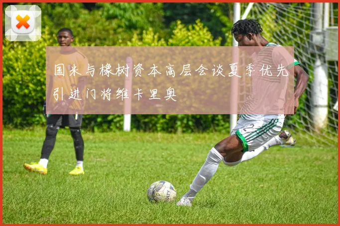 国米与橡树资本高层会谈夏季优先引进门将维卡里奥