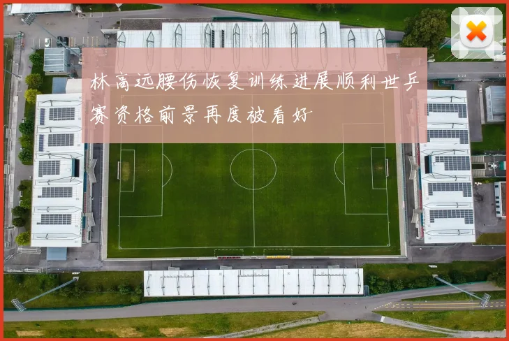 林高远腰伤恢复训练进展顺利世乒赛资格前景再度被看好