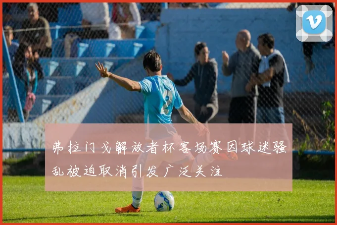 弗拉门戈解放者杯客场赛因球迷骚乱被迫取消引发广泛关注